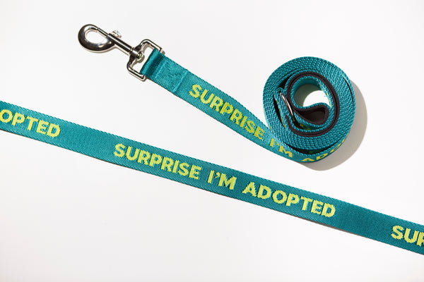 Surprise Adopted Dog Leash - 61013