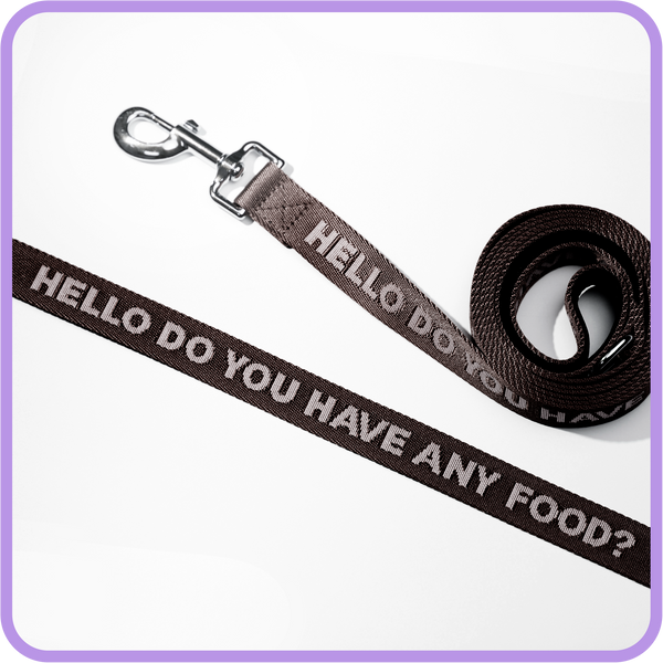 Any Food Dog Leash (Black)  - 61018