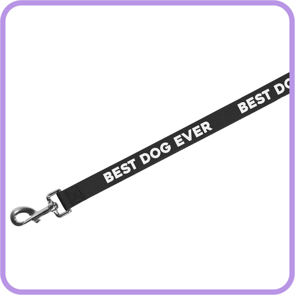 Best Dog Ever Dog Leash (Black) - 61019