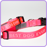 Best Dog Ever (Pink) Collar - 62009 & 62011