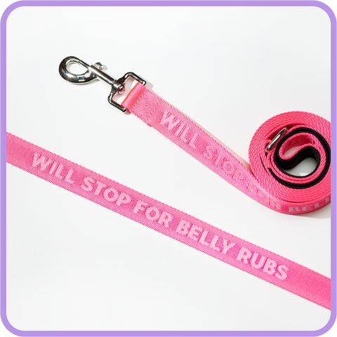 Belly Rubs Dog Leash - 61004