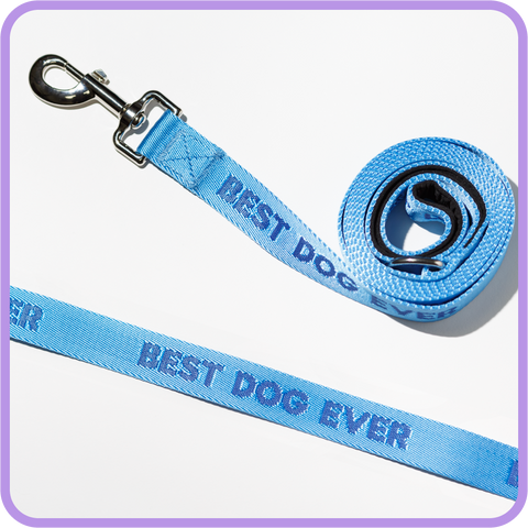 Best Dog Ever Dog Leash - 61012