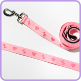 Bones & Hearts Dog Leash - 61015