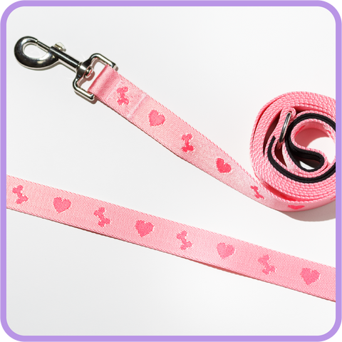 Bones & Hearts Dog Leash - 61015