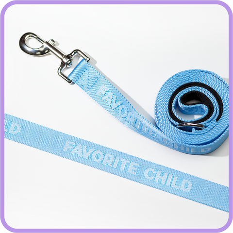 Favorite Child Dog Leash Sky Blue - 61001