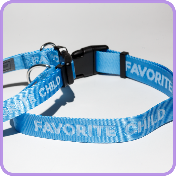 Favorite Child (Sky Blue) Collar - 62000 & 62002