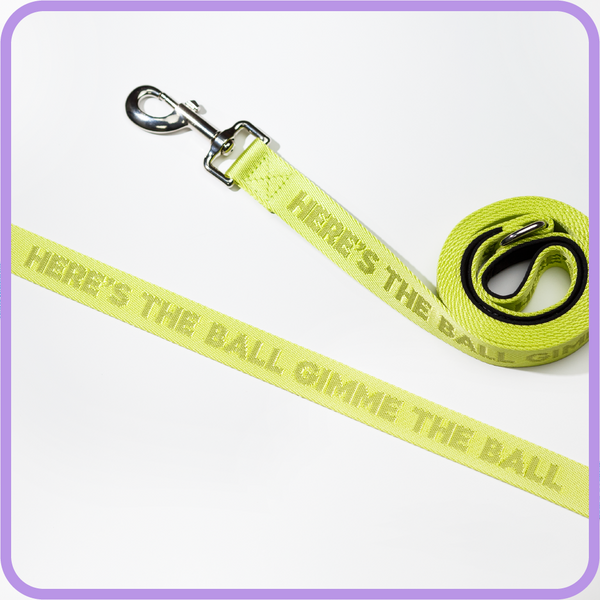 Give Me Ball Dog Leash - 61005