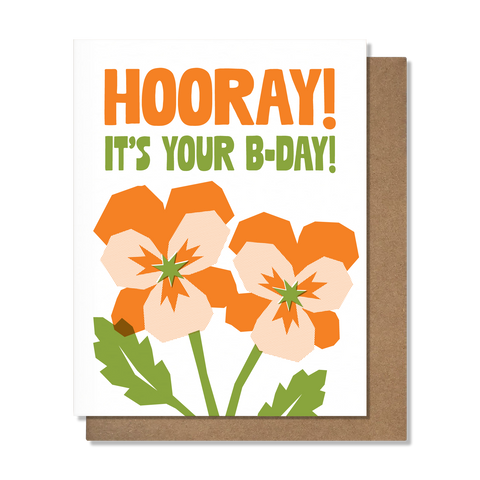 Hooray - 11036