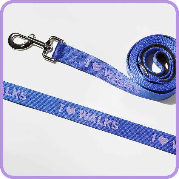 I Love Walks Dog Leash - 61014