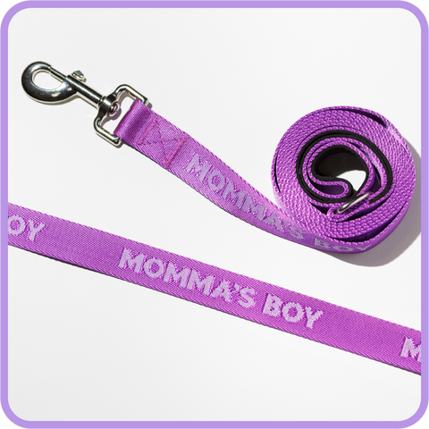 Momma's Boy Dog Leash - 61011