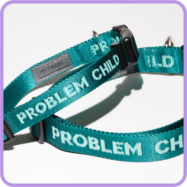 Problem Child (Teal) Collar - 62005 & 62007