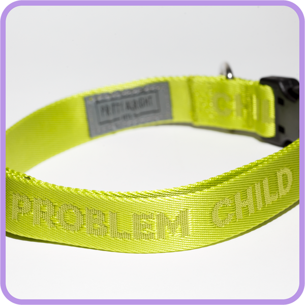 Problem Child (Tennis Ball Green) Collar - 62004 & 62006