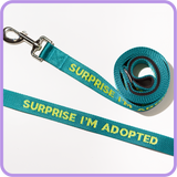 Surprise Adopted Dog Leash - 61013