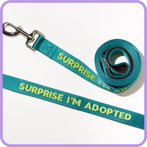 Surprise Adopted Dog Leash - 61013