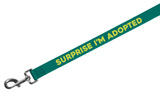 Surprise Adopted Dog Leash - 61013